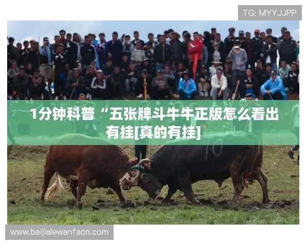 最新真人斗牛网址大全,安全可靠的线上斗牛娱乐体验尽在这里 最新真人斗牛网址大全,安全可靠的线上斗牛娱乐体验尽在这里