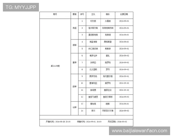 世界杯瑞士波黑比赛现场观赛全攻略：门票购买、交通安排与现场氛围介绍